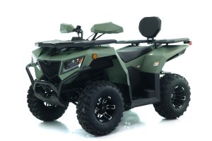 CYBER ROAMER 250 EFI