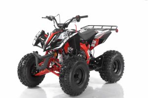 FALCON X 110cc