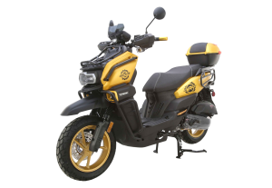 TANK X200 Pro (CARBORETOR)