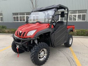 UTV 650 EFI