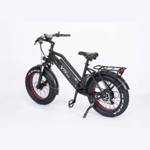VRT-B12 (Electric bike B12, 20 inches)