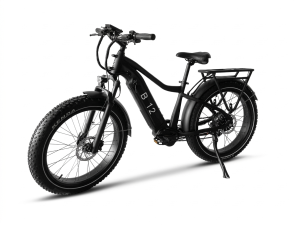 E-Bike B12